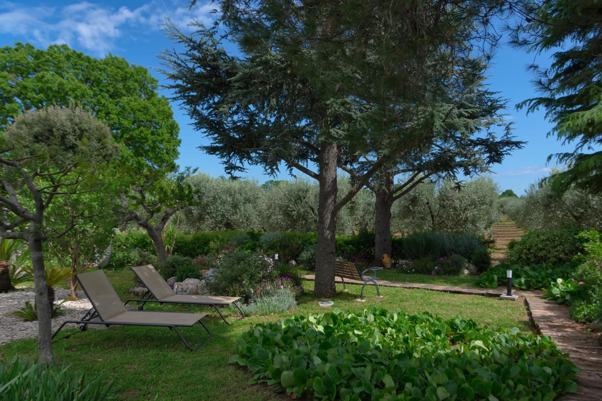 Agriturismo Masseria Aprile Locorotondo Exterior photo